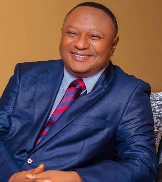 Professor Andy Ogochukwu Egwunyenga has been appointed aa a Pioneer Board of Trustees member of the NAAIP.